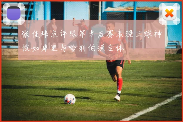 张佳玮点评绿军季后赛表现三球神技如库里与哈利伯顿合体