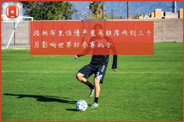 格纳布里伤情严重或缺席两到三个月影响世界杯参赛机会