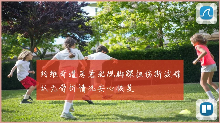 约维奇遭恶意犯规脚踝扭伤斯波确认无骨折情况安心恢复